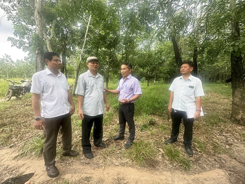 BGMB-OngQuang.jpg