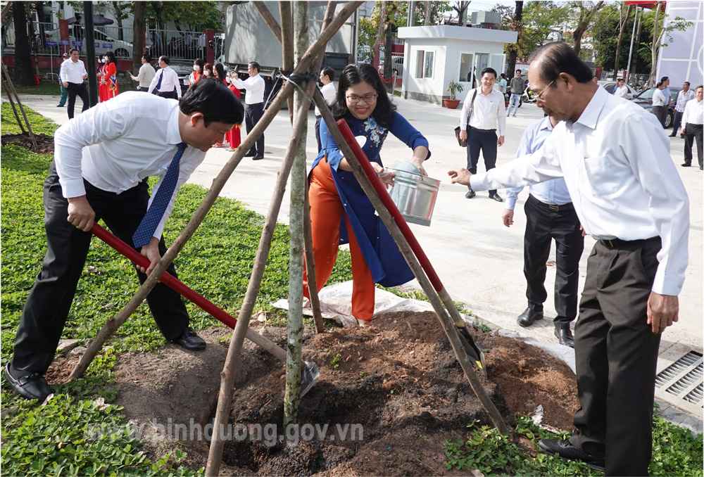 ChutichtrongcayBaotang.jpg