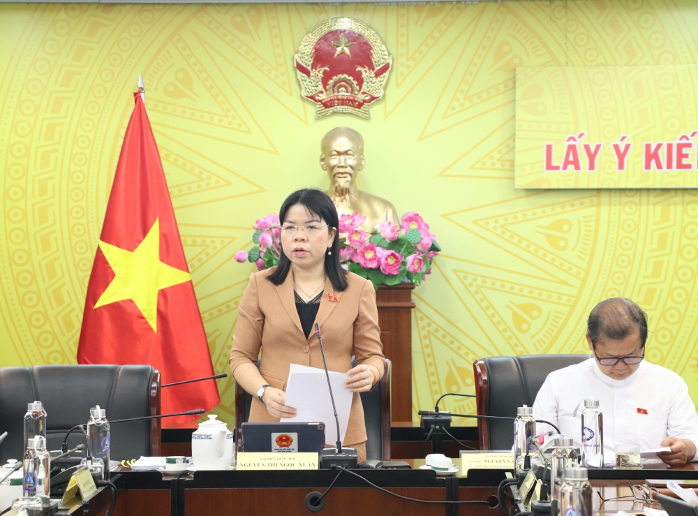 Hoi nghi lay y kien du thao Luat-5.JPG