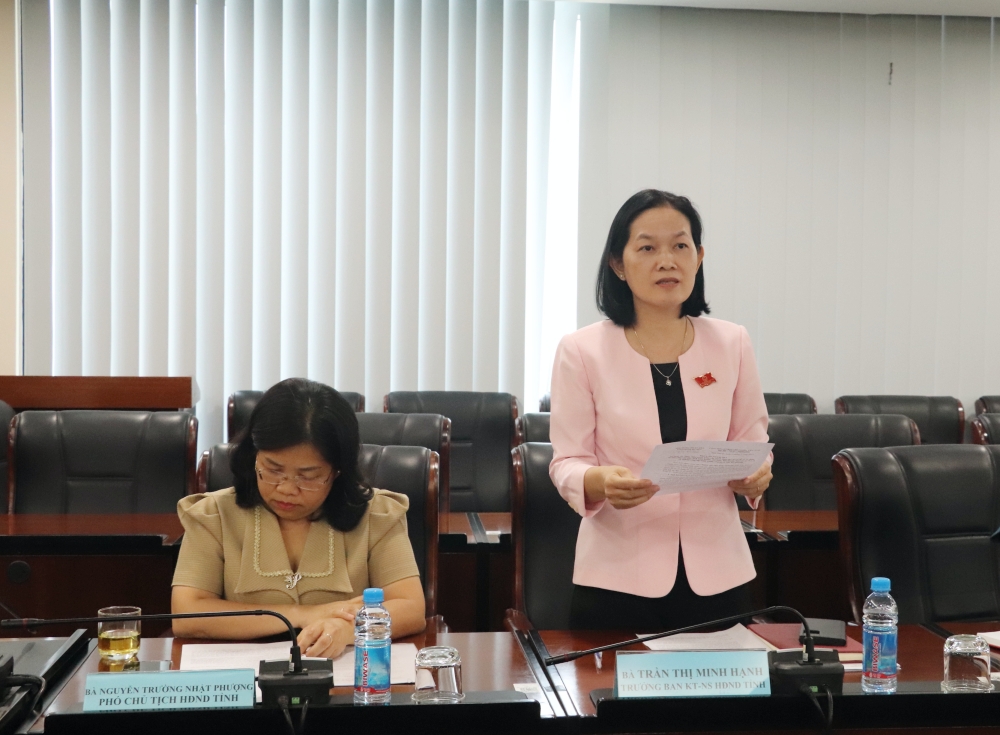 Phien hop HDND tinh lan thu 38-2.JPG