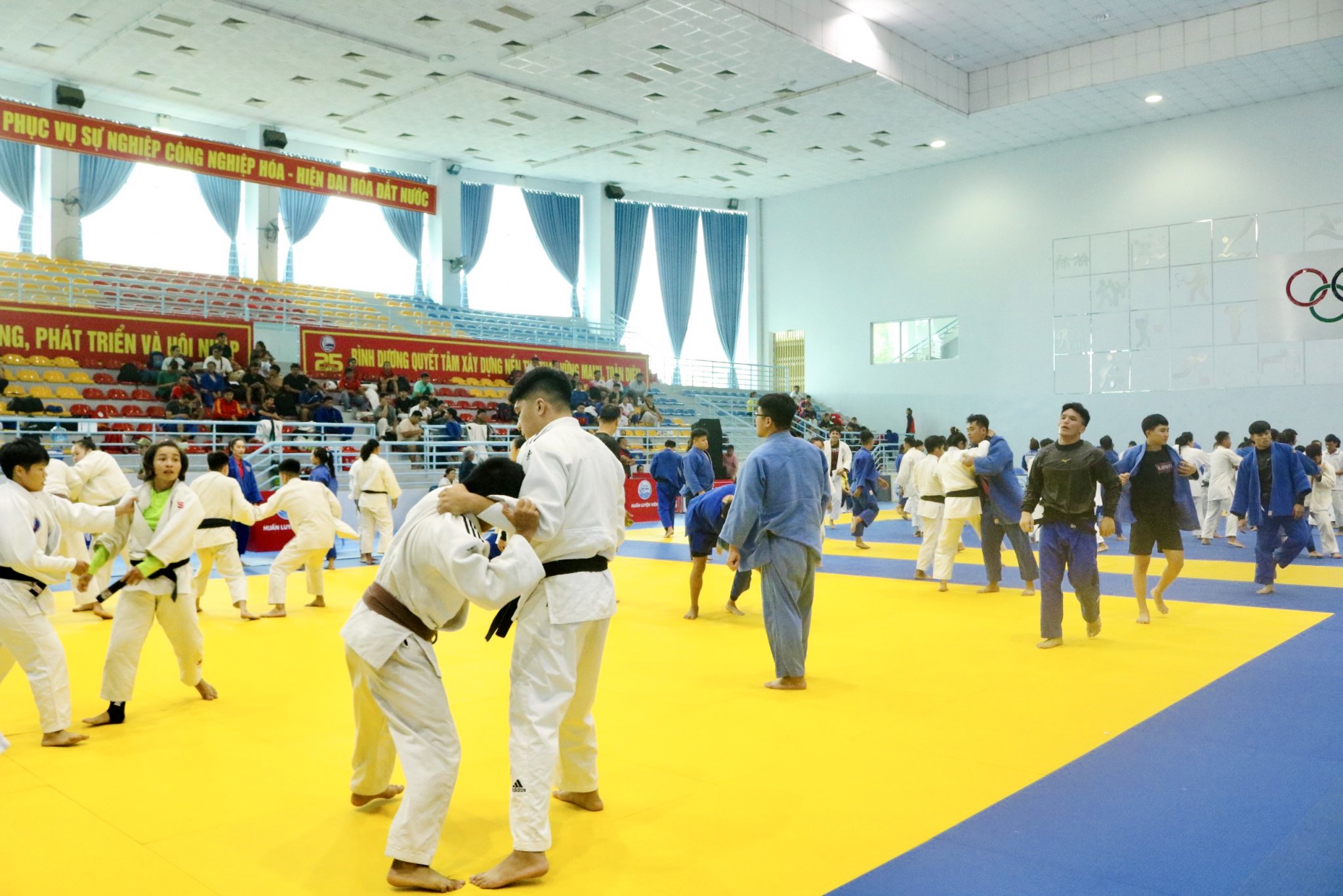 judo 3.jpg