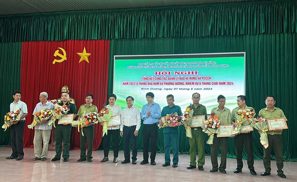 tải xuốngNCDT3.jpg