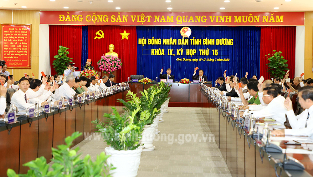 IMG_6938 biểu quyết chương trình làm việc.JPG