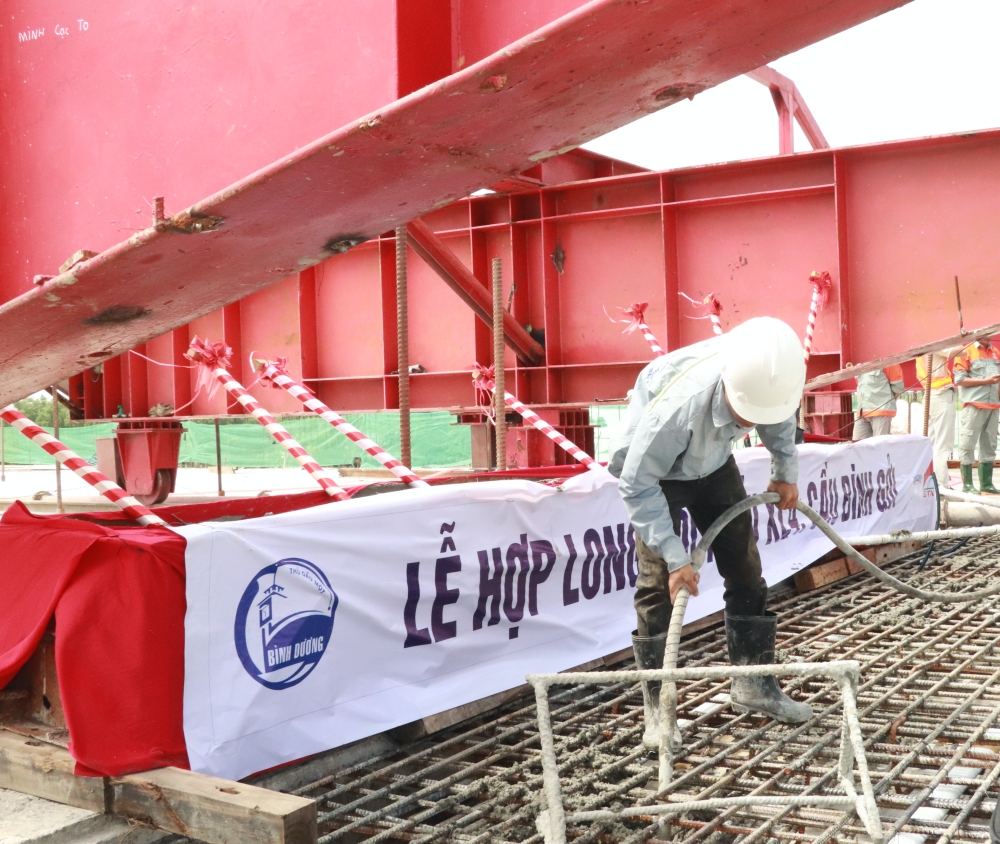 Le hop long cay Binh Goi-5.JPG