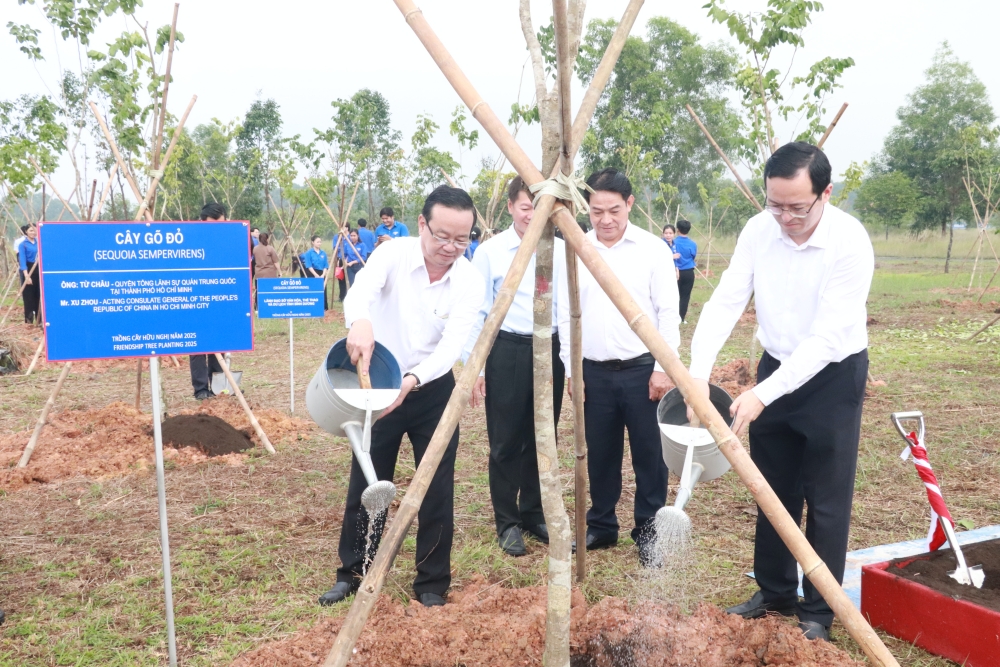 Le trong cay huu nghi VN-TQ-8.JPG